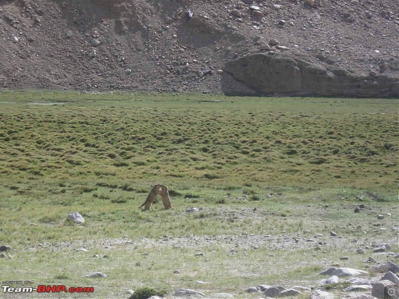 How hard can it be? Bangalore to Ladakh in a Linea-minipicture-035.jpg