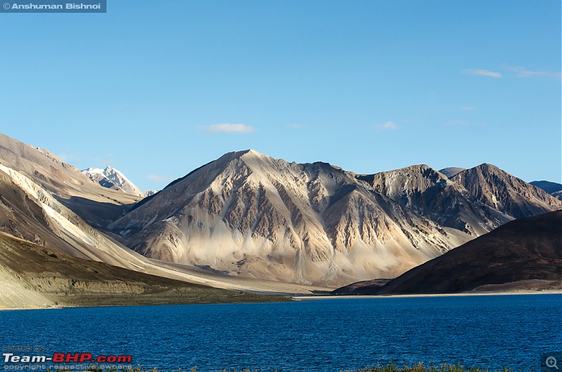 Ladakh in my Laura- Travelogue-dsc_8448.jpg