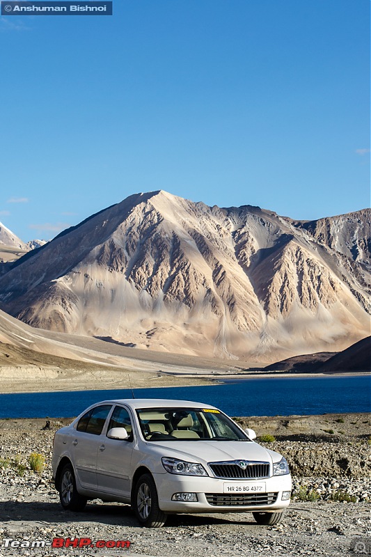 Ladakh in my Laura- Travelogue-dsc_8459.jpg