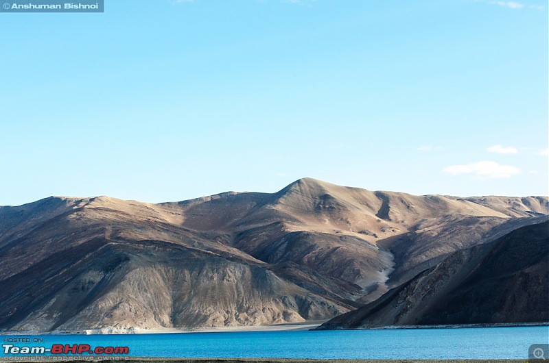 Ladakh in my Laura- Travelogue-dsc_8470.jpg