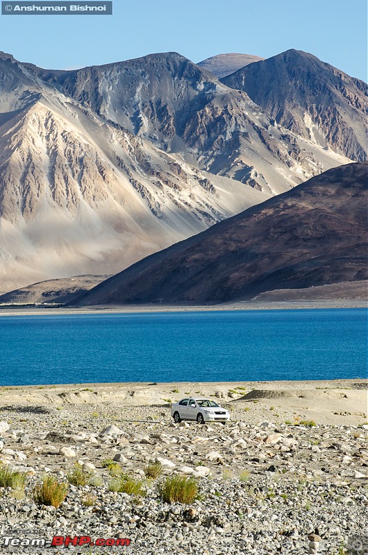Ladakh in my Laura- Travelogue-dsc_8476.jpg