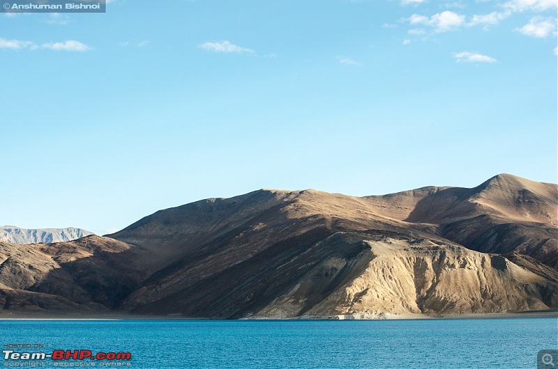 Ladakh in my Laura- Travelogue-dsc_8480.jpg