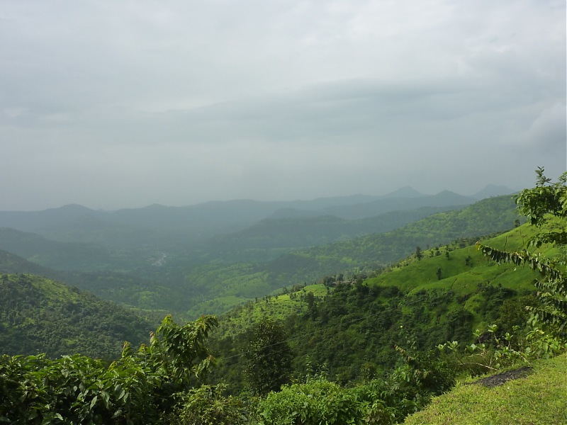 Exploring Mahabaleshwar again!-p1120916.jpg