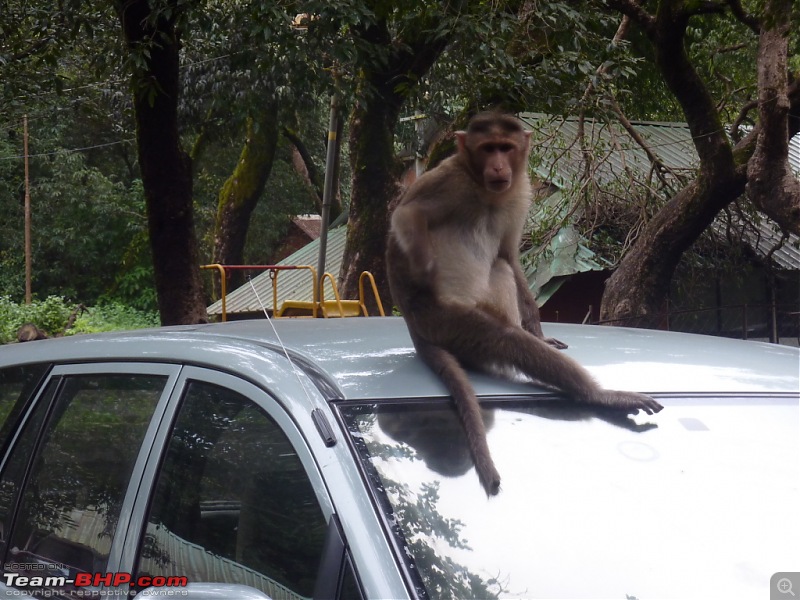 Exploring Mahabaleshwar again!-p1120957.jpg