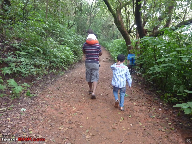 Exploring Mahabaleshwar again!-p1130104.jpg