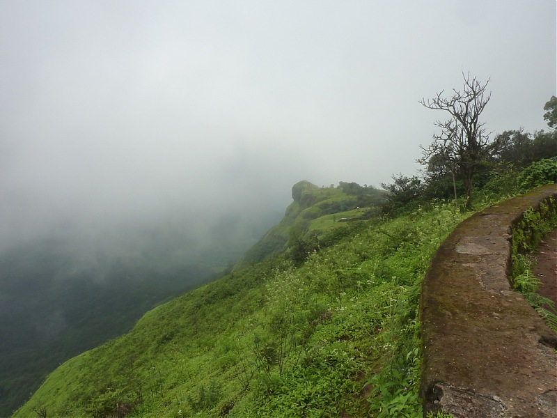 Exploring Mahabaleshwar again!-p1130118.jpg