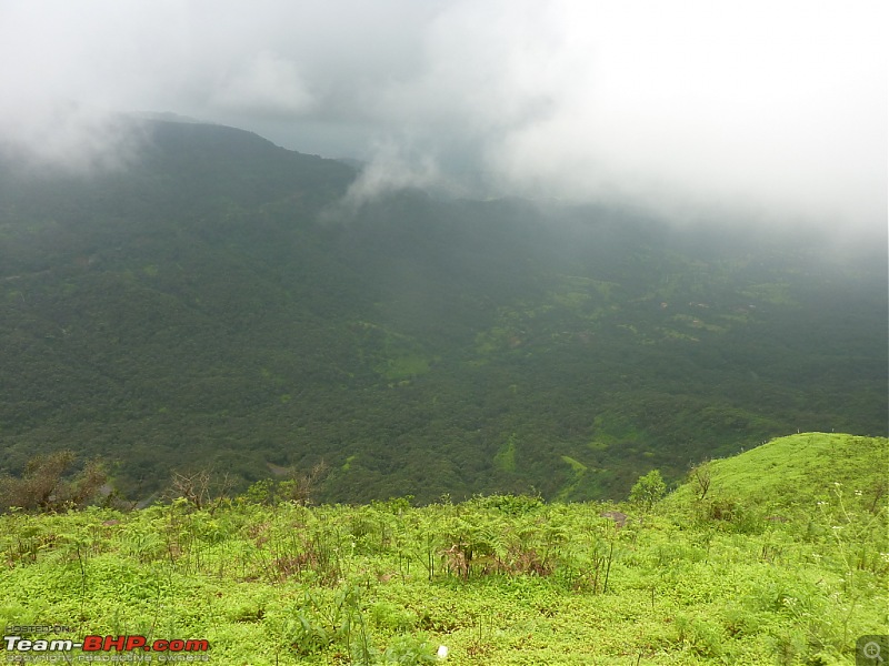 Exploring Mahabaleshwar again!-p1130125.jpg