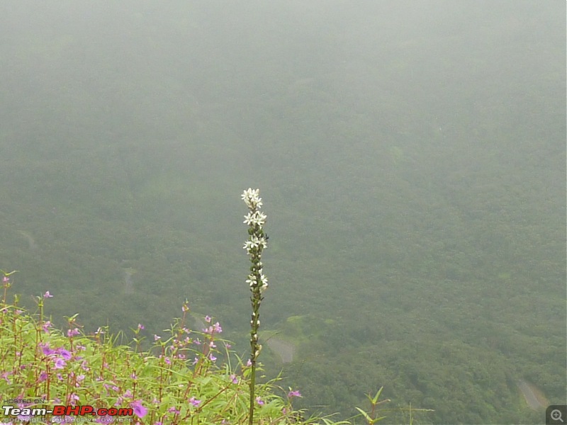 Exploring Mahabaleshwar again!-p1130156.jpg