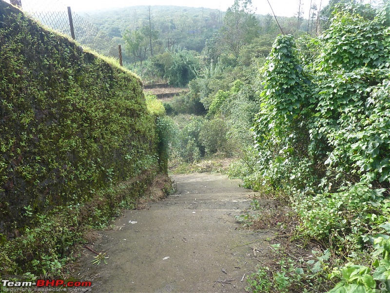 Exploring Mahabaleshwar again!-p1130185.jpg