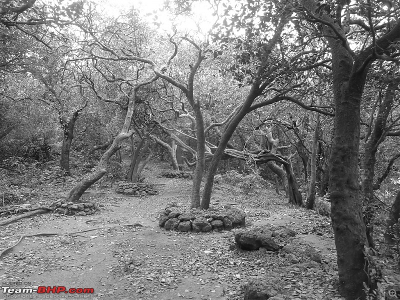 Exploring Mahabaleshwar again!-p1130439.jpg