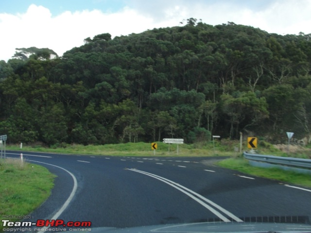 How awesome can a road trip be? The Great Ocean Road Trip : Melbourne!-35.jpg