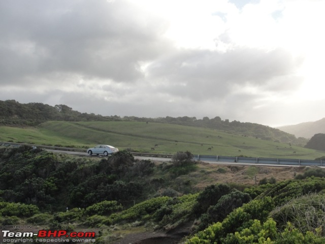 How awesome can a road trip be? The Great Ocean Road Trip : Melbourne!-36-3.jpg