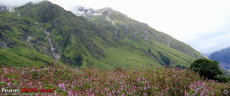 Fauji's Drivologues - Valley of Flowers, Uttarakhand - "Paradise on Earth"-vof.jpg