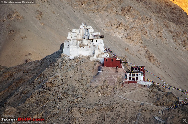 Ladakh in my Laura- Travelogue-dsc_8585.jpg