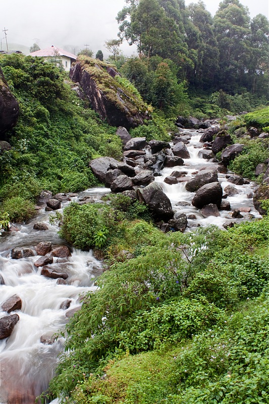 Mystical Munnar-img_0108.jpg