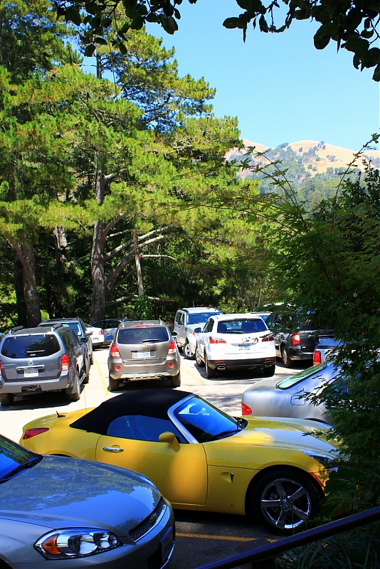 In a Pontiac Solstice to Mystical Monterey, CA-img_2427-867x1300.jpg