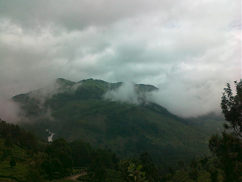 Munnar - A dash to the bewitching place inspired by Team-BHP-m5.jpg