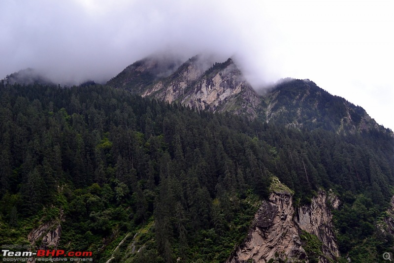 Fauji's Drivologues - Valley of Flowers, Uttarakhand - "Paradise on Earth"-dsc_0090.jpg