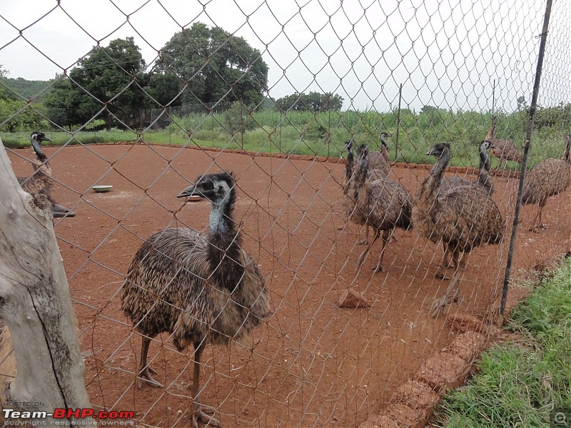 Black Buck Resort: A weekend Getaway from Hyderabad-dsc03493.jpg