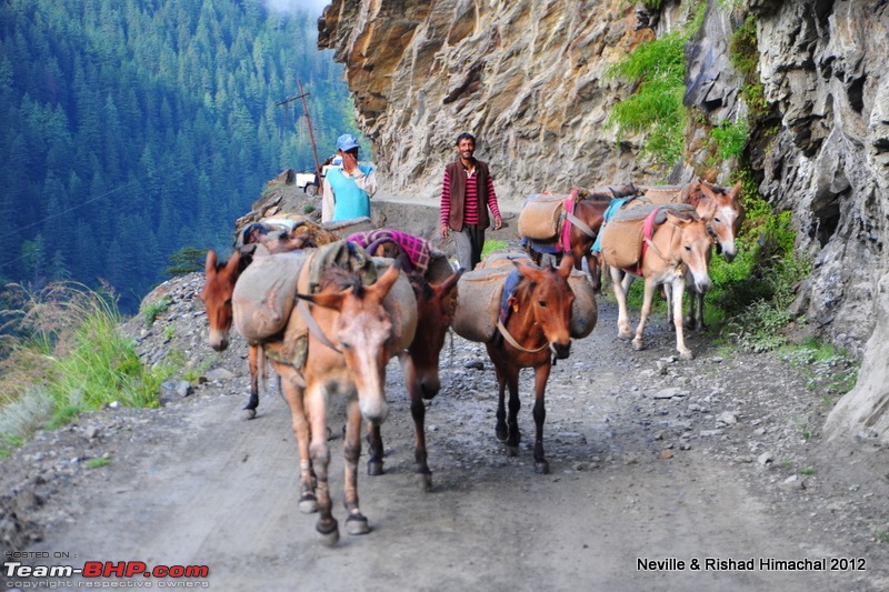 Skirting Himachal in 7 days in a Fortuner-rsm_0766.jpg