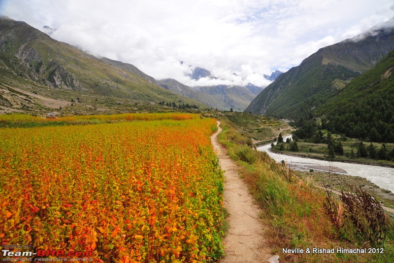 Skirting Himachal in 7 days in a Fortuner-rsm_0888.jpg