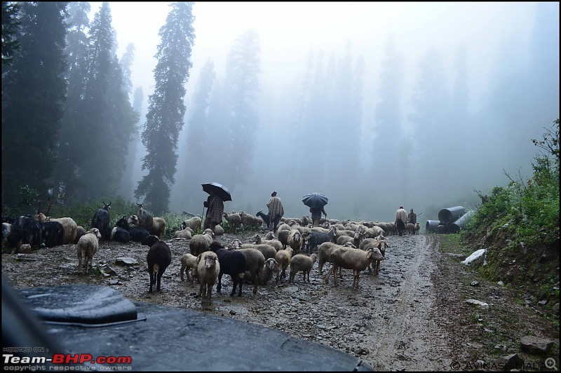 Heights of Paradise - Leh Redefined!-11.jpg