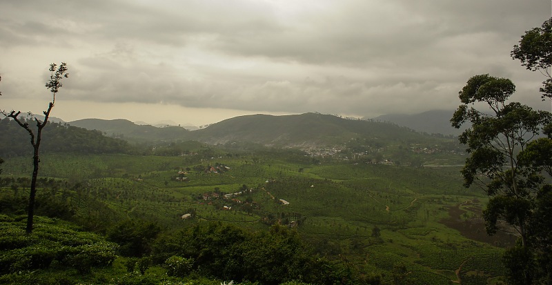 Reflections on Driving addictions - Valparai-128.jpg