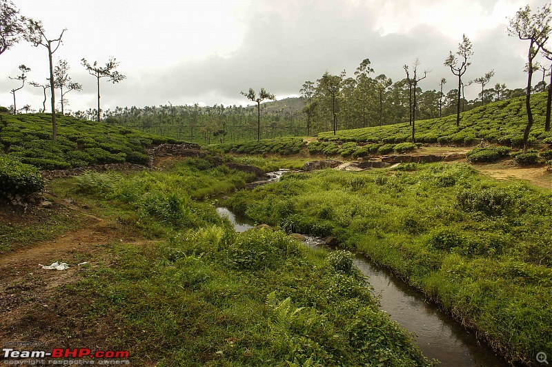 Reflections on Driving addictions - Valparai-166.jpg