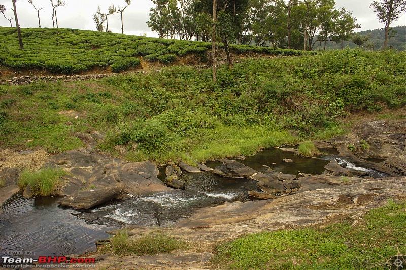 Reflections on Driving addictions - Valparai-167.jpg