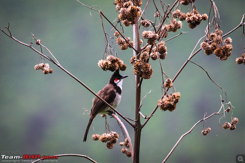 Reflections on Driving addictions - Valparai-31.jpg