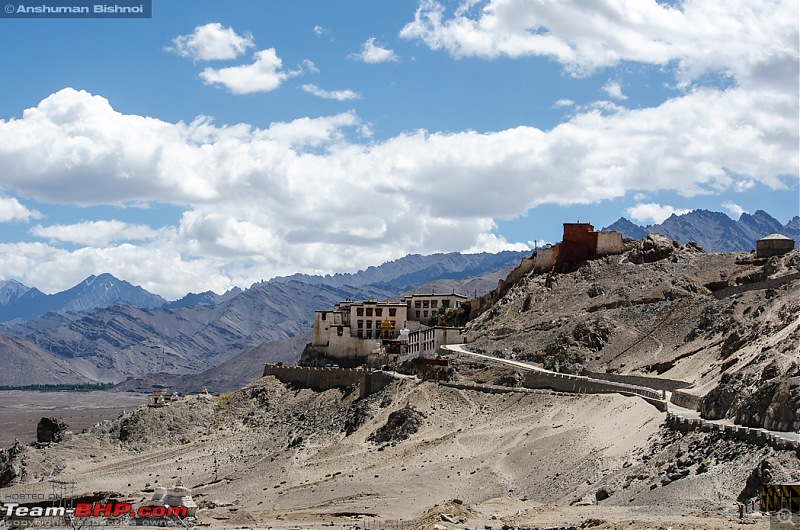 Ladakh in my Laura- Travelogue-dsc_8635.jpg
