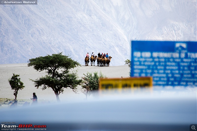 Ladakh in my Laura- Travelogue-dsc_8786.jpg