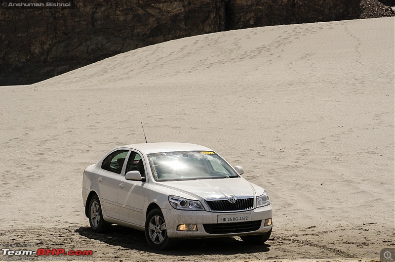 Ladakh in my Laura- Travelogue-dsc_8831.jpg