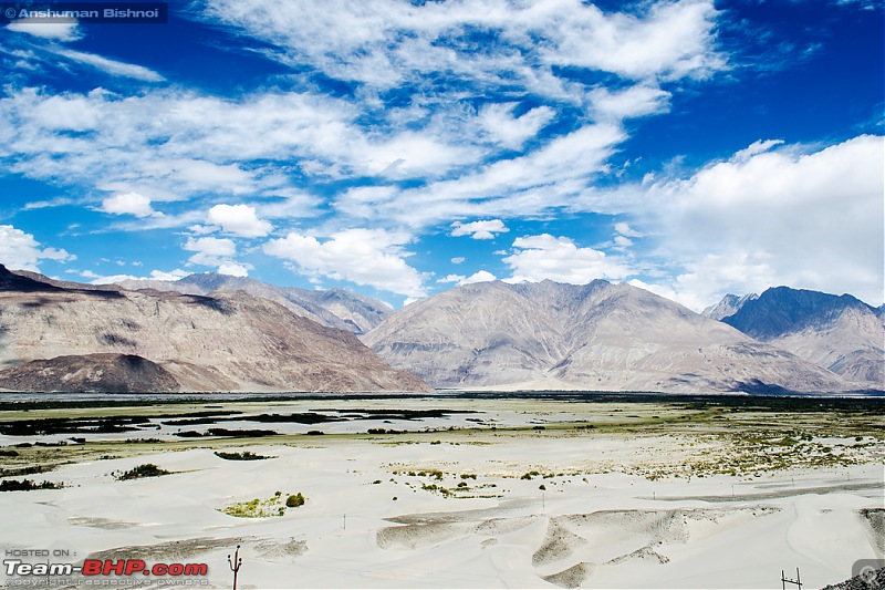 Ladakh in my Laura- Travelogue-dsc_8832.jpg