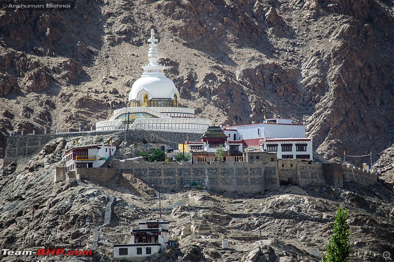 Ladakh in my Laura- Travelogue-dsc_8903.jpg