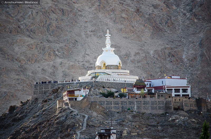 Ladakh in my Laura- Travelogue-dsc_8905.jpg