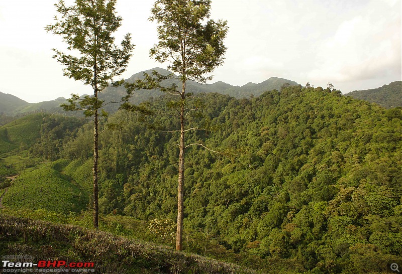 Reflections on Driving addictions - Valparai-19.jpg