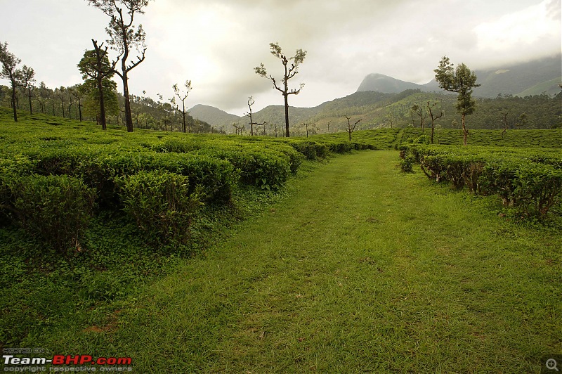 Reflections on Driving addictions - Valparai-27.jpg