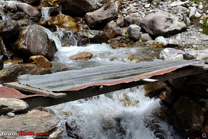 Fauji's Drivologues - Valley of Flowers, Uttarakhand - "Paradise on Earth"-dsc_0269.jpg