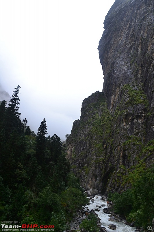 Fauji's Drivologues - Valley of Flowers, Uttarakhand - "Paradise on Earth"-dsc_0160.jpg