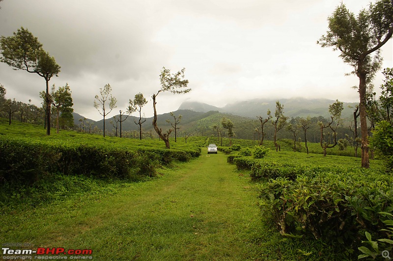 Reflections on Driving addictions - Valparai-36.jpg