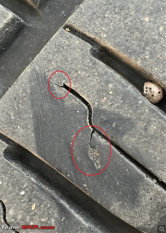 Small cracks on my ~1 year old tyres. Is this normal?-img_24641.jpg