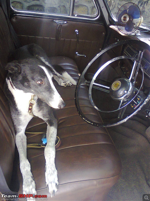 Daily Mumbai traffic in a classic? - Yes! Ambassador bought and restored.-photo0113.jpg