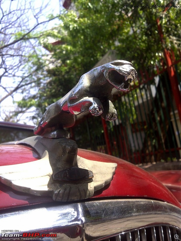 Pics: Vintage & Classic cars in India-jaguar-type-ii-12-copy.jpg
