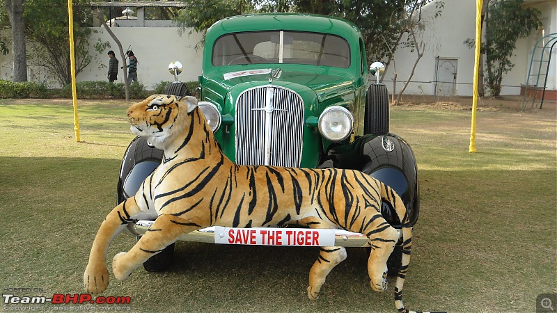 Jaipur's 16th Vintage & Classic Car Rally in January 2014-dsc03296.jpg