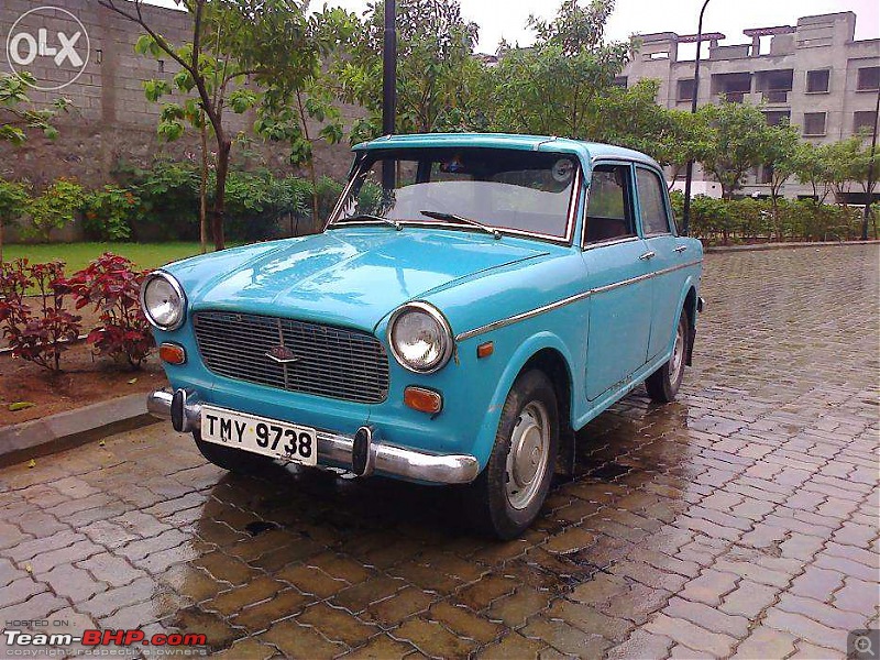 Classic Cars available for purchase-fiat.jpg