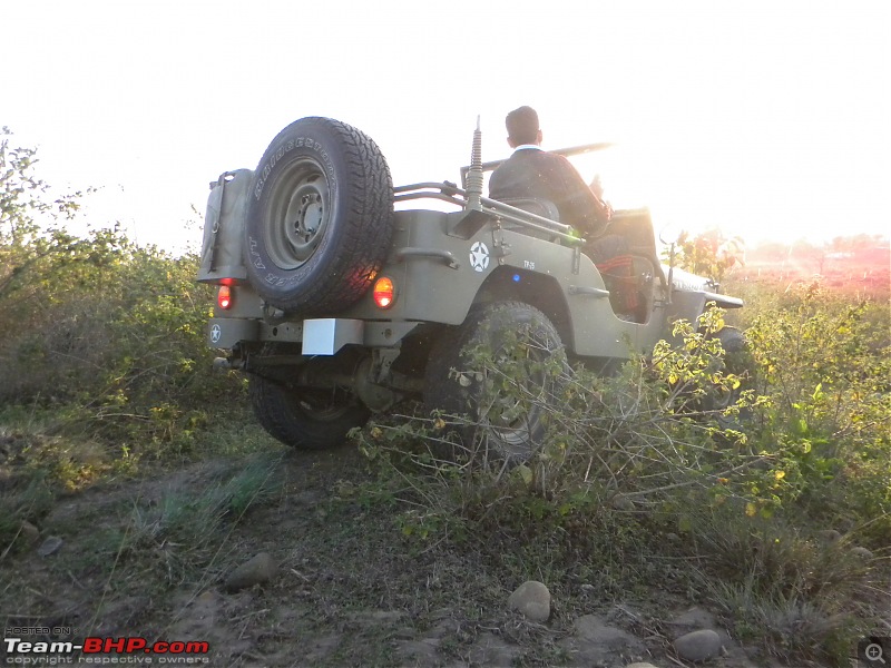 Jeep Willys-dscn5487.jpg