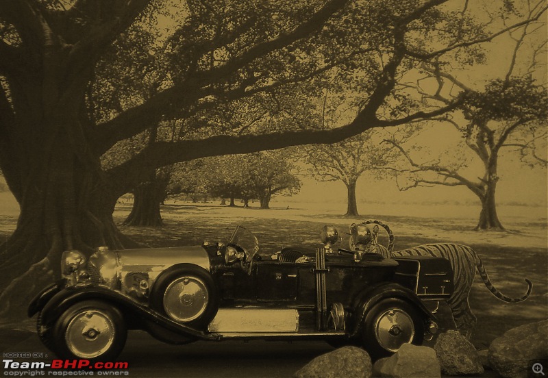 Classic Bentleys in India-bhopal-bentley-tiger-tbhp.jpg