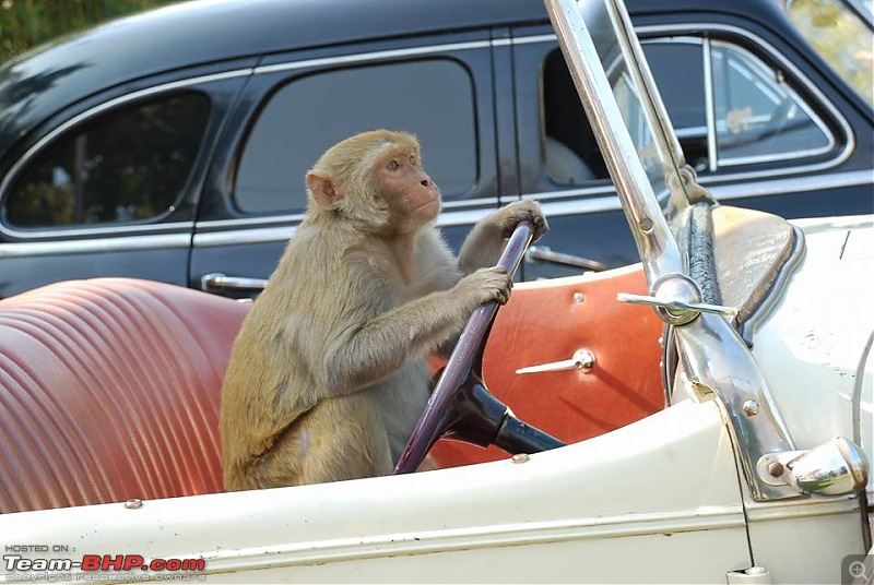 Pics: Vintage & Classic cars in India-13620712_1236686056375890_8015265553841828402_n.jpg