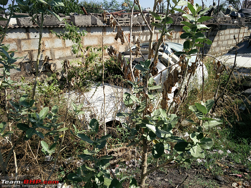 Rust In Pieces... Pics of Disintegrating Classic & Vintage Cars-forumrunner_20161227_140733.png